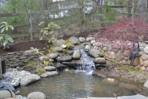 Backyard pond with rock waterfall, wooden fence, plants, stone wall, and metal crane statue.