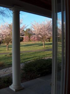 View from porch with white column overlooking grassy area with blooming pink and white trees.