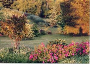 landscaped garden with pink flowers, trees, shrubs, and green grass under warm sunlight