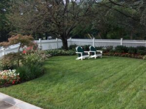 Backyard with green lawn, white Adirondack chairs with cushions, bordered by shrubs and white fence