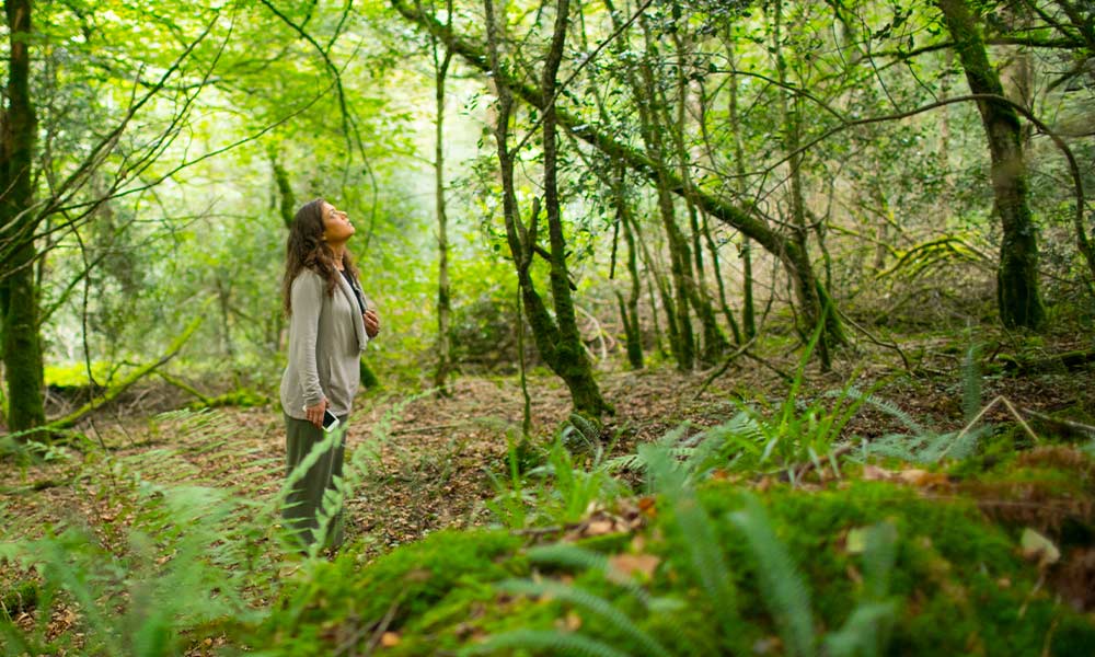 Professionals working with houses and home spaces