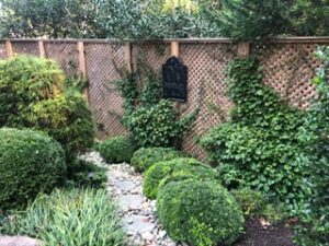 Garden with green shrubs, plants, a wooden lattice fence, a black plaque, and a rock bed.