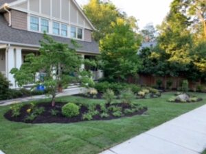 Front yard of a house with landscaped garden beds, small trees, shrubs, and a sidewalk.