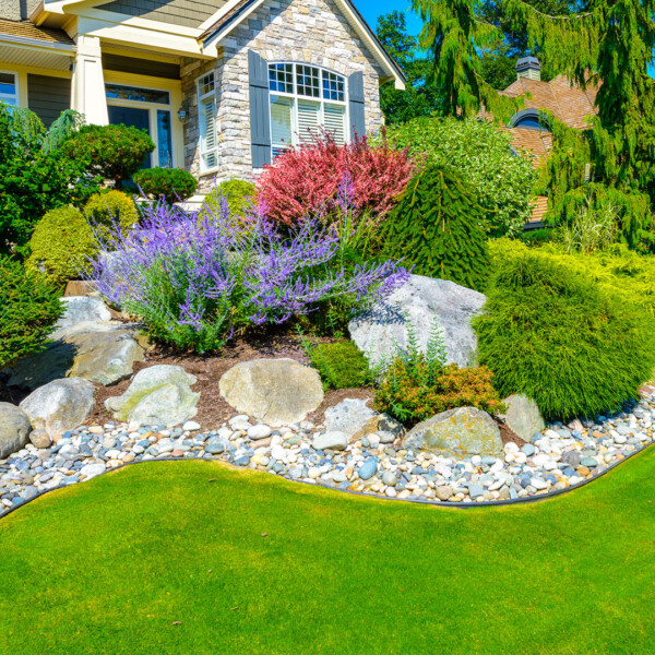Residential front yard with green lawn, flowering shrubs, decorative rocks, and stone house facade.