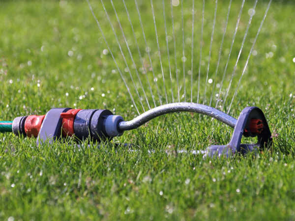 Garden sprinkler attached to a hose watering a green, well-maintained grassy lawn.