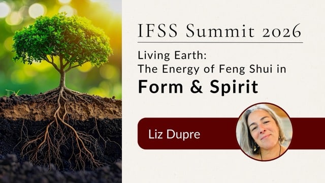 Liz Dupre Summit Cover copy Smaller