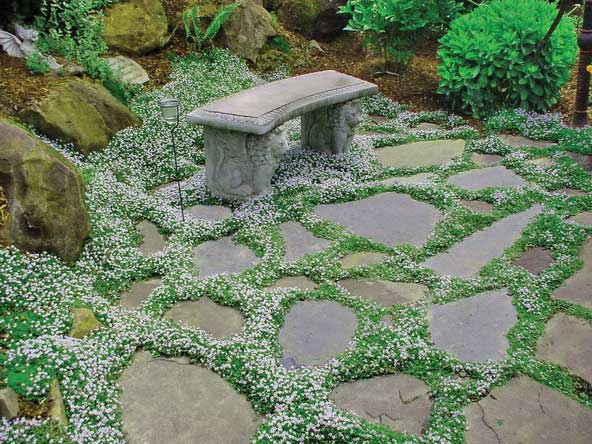 Stone garden path with ground cover plants leading to a decorative stone bench surrounded by rocks.