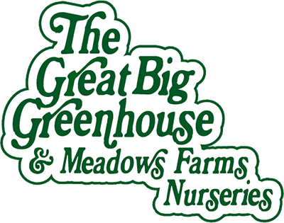 Logo of The Great Big Greenhouse & Meadows Farms Nurseries with green stylized text on white background